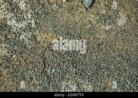 Arrière-plan, petites pierres de couleur grise sur un sol. Photo de haute qualité Banque D'Images