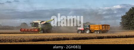 MALDON, ESSEX, Royaume-Uni - 25 AOÛT 2021 : vue panoramique de la moissonneuse-batteuse se préparant au transfert du blé récolté vers une remorque tractée par un tracteur Banque D'Images