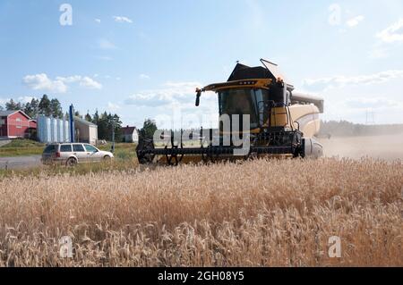 Combinaison de Rye avec Un New Holland CX 5,80 Banque D'Images