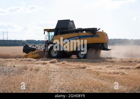 Combinaison de Rye avec Un New Holland CX 5,80 Banque D'Images