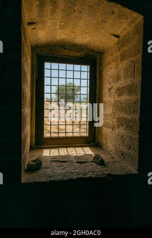 Plan vertical d'un arbre vu à travers l'ancienne fenêtre en verre avec des grilles dans un bâtiment en pierre Banque D'Images