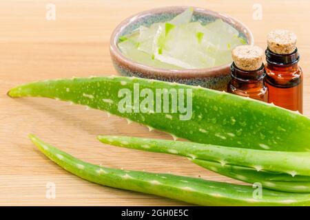 Aloevera - Spas naturels Ingrédients pour les soins de la peau. Banque D'Images