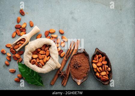 La poudre de cacao et les fèves de cacao sur fond de béton. Banque D'Images