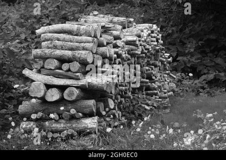 Une pile de rondins bien empilés dans un jardin Banque D'Images