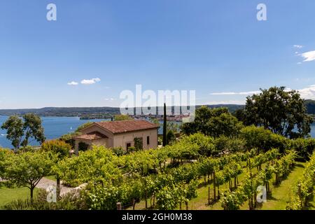 Angera, Italie. 05e juin 2020. Vignoble à la Rocca di Angera, Lago Maggiore, Varèse, Italie crédit: Agence de photo indépendante/Alamy Live News Banque D'Images