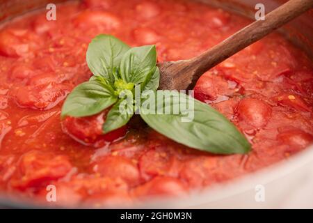 Sauce tomate maison classique dans la casserole Banque D'Images