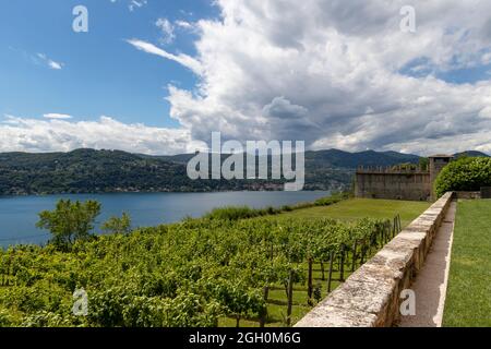 Angera, Italie. 05e juin 2020. Vignoble à la Rocca di Angera, Lago Maggiore, Varèse, Italie crédit: Agence de photo indépendante/Alamy Live News Banque D'Images