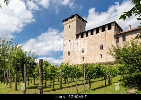 Angera, Italie. 05e juin 2020. Vignoble à la Rocca di Angera, Lago Maggiore, Varèse, Italie crédit: Agence de photo indépendante/Alamy Live News Banque D'Images