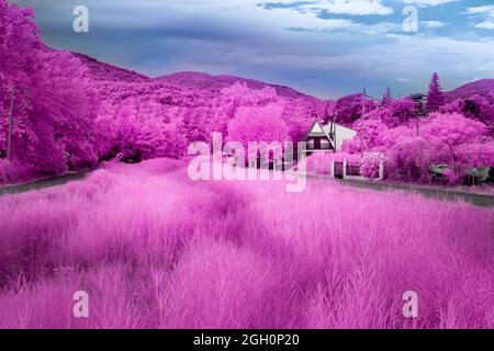 Photo de paysage infrarouge avec un ciel nuageux spectaculaire Banque D'Images