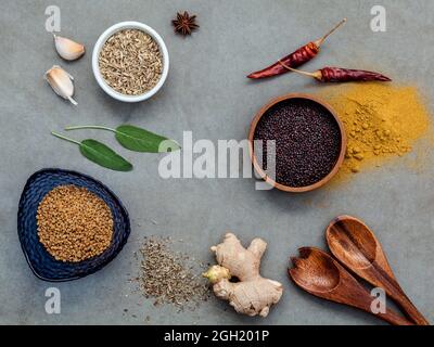 Un assortiment d'épices Gingembre, graines de fenouil, feuilles de sauge, thym séché, l'ail, l'anis étoilé, la poudre de curry, le piment et le fenugrec setup sur fond de béton. Banque D'Images