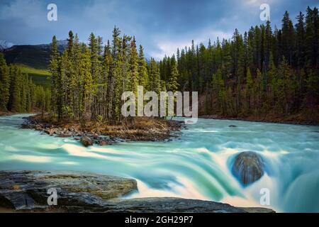 Sunwapta Falls, Parc National de Jasper, Canada Banque D'Images