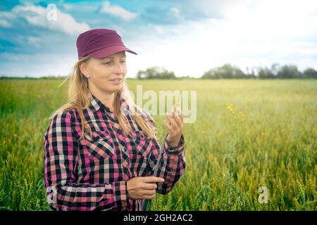 bonne femme paysanne examine un tas d'oreilles dans sa main dans le champ Banque D'Images