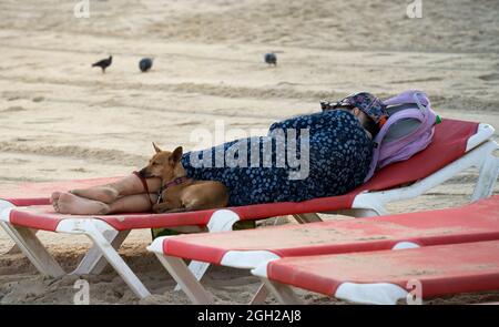 Une femme et son chien, dormant sur une chaise de plage, sur la plage de tel Aviv, Israël. Banque D'Images