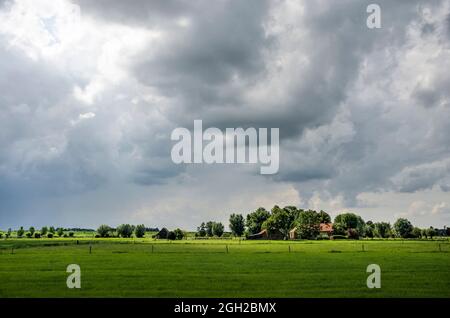 Zwolle, pays-Bas, 10 août 2021 : ciel spectaculaire et conditions d'éclairage spectaculaires sur le paysage de la polder le long de la rivière IJssel Banque D'Images