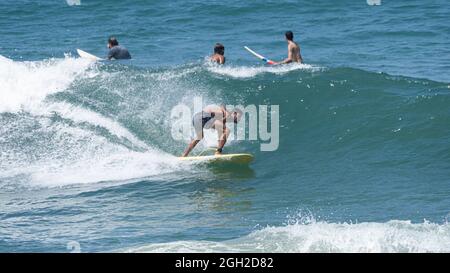 surfeurs qui prennent les vagues et manœuvrent en mer par une journée d'été claire. Banque D'Images