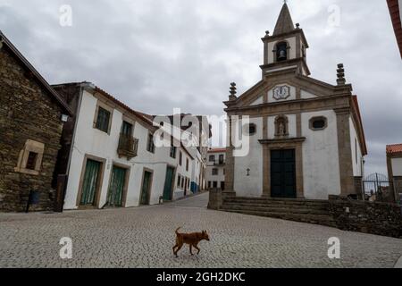 Vue sur le vieux village de Provesende au coeur de la vallée du Douro en automne, industrie viticole au Portugal Banque D'Images