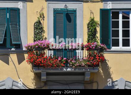 Extérieur d'une maison avec un balcon plein de pots de fleurs de geraniums en fleur et de jasmines d'escalade, Livourne, Toscane, Italie Banque D'Images