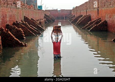 Un homme tient des briques sur sa tête après les avoir sortis des fours, tandis qu'elle traverse la rivière sur une planche pour les accueillir de l'autre côté à une briqueterie, pour distribuer les briques pour les entreprises de construction en dehors de Dhaka. Les employés de Brick Field travaillent 7 jours par semaine et sont payés BDT 350 (4.37 $) par jour, les propriétaires de chaque usine de Brick emploient entre 100-200 travailleurs et les gardent travailler du lever au coucher du soleil pendant la saison sèche. Le 4 septembre 2021 à Dhaka, au Bangladesh. (Photo de Habibur Rahman / Eyepix Group) Banque D'Images