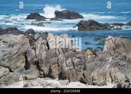 Vue partielle du littoral du Pacifique - Pacific Grove, Californie Banque D'Images