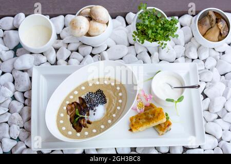 Soupe à la crème aux champignons blancs. Soupe crème dans le design intérieur Banque D'Images