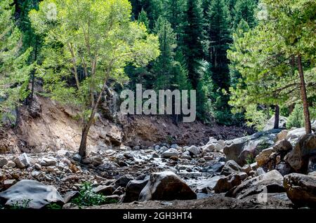 Un lit de rivière quelque peu sec dans le Colorado est rempli de rochers et de rochers de toutes tailles, et dans la saison des pluies, beaucoup d'eau aussi Banque D'Images