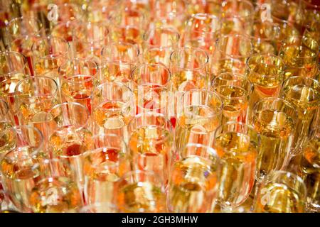 Beaucoup de verres à vin avec un délicieux champagne frais ou vin blanc au bar. Alcool. Beaucoup de verres avec champagne pendant la fête Banque D'Images