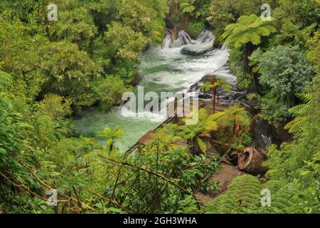 Okere Falls près du lac Rotorua, Nouvelle-Zélande. Les ruines de l'ancienne centrale électrique de 1901 à côté des eaux en cascade de la rivière Kaituna Banque D'Images