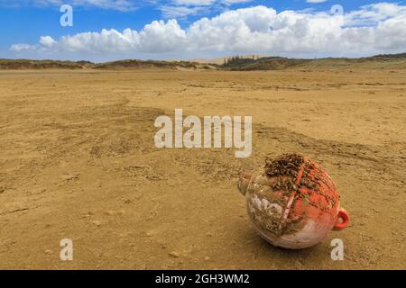 Une vieille bouée de pêche incrustée de coquillages s'est lavée sur la plage de Ninety Mile Beach, Northland, Nouvelle-Zélande Banque D'Images