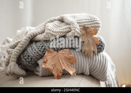 Composition automnale avec sweaters tricotés confortables dans des tons pastel et des feuilles sèches. Banque D'Images