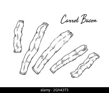 Bacon de carotte tiré à la main. Illustration vectorielle dans le style d'esquisse Illustration de Vecteur