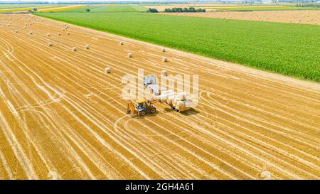 Vue au-dessus de la pelle hydraulique lors du chargement de balles de paille sur une remorque, remorquée par camion sur une terre agricole, à l'aide d'une lame de chariot élévateur, support supplémentaire. Banque D'Images