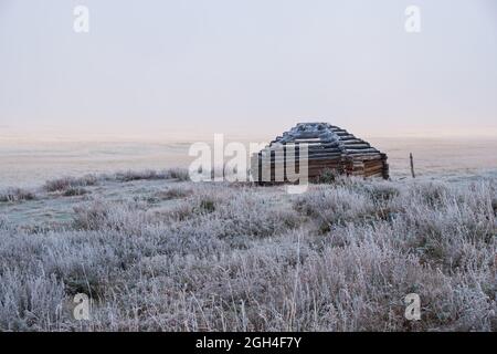 Vue sur la maison de berger Altaï et le lac Dzhangyskol sur le plateau de montagne Eshtykel. Colline avec mélèze est sur fond. Brouillard matinal sur l'eau. Banque D'Images