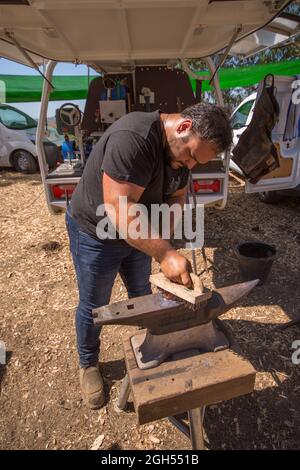 Un forgeron, un farrier, un clawing et la mise en forme d'un fer à cheval sur un Anvil, avec un pinceau, Espagne. Banque D'Images