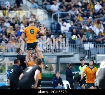 5 septembre 2021 ; Optus Stadium, Perth, Australie : coupe Bledisloe internationale de rugby, Australie contre Nouvelle-Zélande ; Lachlan Swinton des Wallabies remporte la file d'attente Banque D'Images