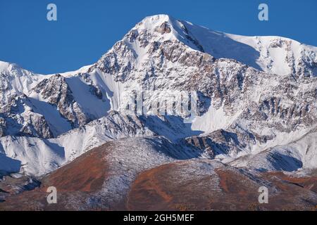 Peak Kurkurek sur la chaîne de montagnes du nord du Chui. Les montagnes sont couvertes de glace et de neige. La forêt jaune de mélèze d'automne est sur piédimont. Altaï, Sibérie, Russie Banque D'Images