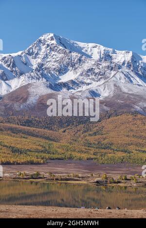 Camp touristique sur la rive du lac Altai Dzhanguskol sur le plateau Eshtykel. Couleurs jaunes d'automne. La crête de North Chui avec le pic de montage de Kurkurek est réfléchissante Banque D'Images