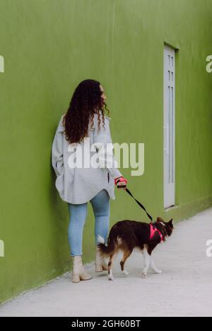 Vue arrière de la femme propriétaire marchant avec le chien Border Collie le long de la chaussée humide dans la ville Banque D'Images
