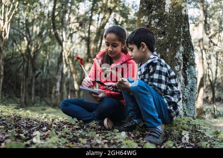 Fille ethnique avec stylo et bloc-notes contre le frère examinant la fougères feuille avec loupe tout en étant assis sur la terre dans les bois Banque D'Images