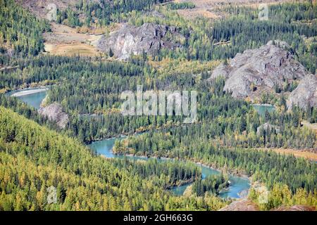 Paysage des hautes terres d'automne. Rivière Altai Chuya entourée de montagnes. Mélèze de couleur jaune d'automne. Altaï, Sibérie, Russie. Banque D'Images