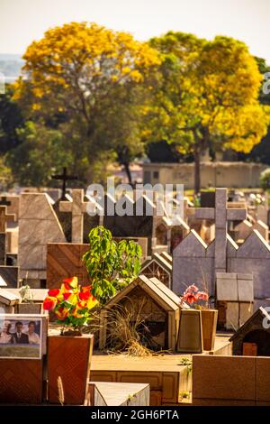 Détails des tombes dans un cimetière dans la ville de Goiânia. Banque D'Images