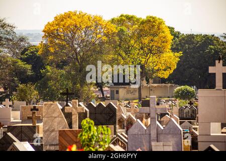 Détails des tombes dans un cimetière dans la ville de Goiânia. Banque D'Images