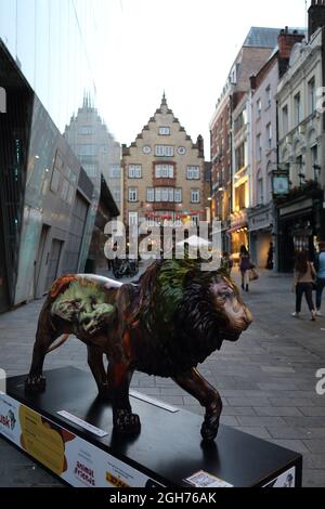 Sentier Tusk Lion Banque D'Images