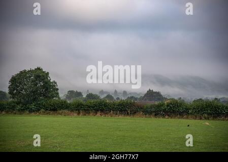 Brume et brouillard descendant des collines sur la forêt, West Sussex, Royaume-Uni. Banque D'Images