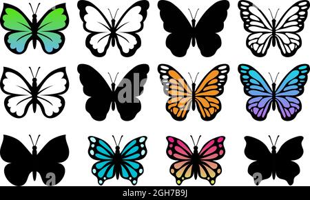 collection vectorielle de beaux insectes papillons isolés sur fond blanc. silhouette de papillons tropicaux colorés. illustration de la nature estivale Illustration de Vecteur