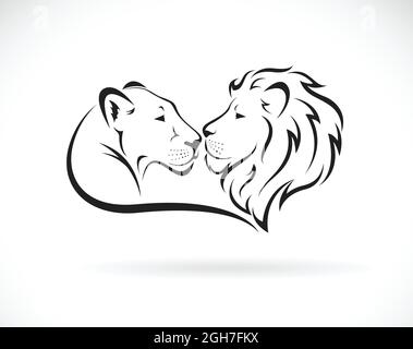 Motif lion mâle et lion femelle sur fond blanc. Animaux sauvages. Logo ou icône Lion. Illustration vectorielle superposée facile à modifier. Illustration de Vecteur