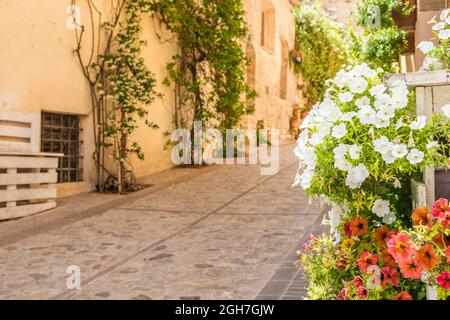 Spello, Italie - Circa juin 2021 : fleurs dans la rue antique. Spello est situé dans la région de l'Ombrie, en Italie. Banque D'Images