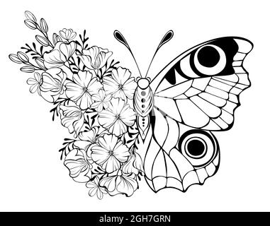 Contour de fleur papillon, paon oeil avec aile décorée avec le pavot de Californie et les plantes sauvages sur fond blanc. Illustration de Vecteur