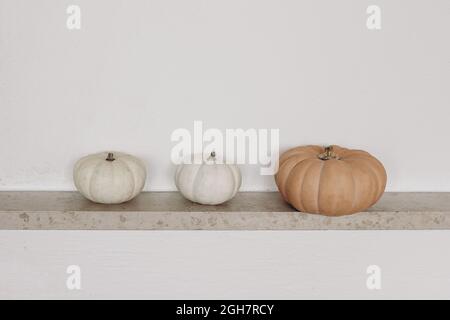 L'automne encore la vie. Citrouilles orange et blanche sur une étagère en marbre. Fond de mur blanc. Motif automne, Thanksgiving. Décoration d'intérieur. Légumes, récolte Banque D'Images