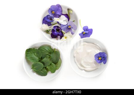 Petits bols avec des fleurs violettes ou violettes, des feuilles et des produits cosmétiques naturels onguent isolés avec des ombres sur un fond blanc, espace de copie, haut angle vi Banque D'Images