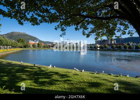 Lille Lungegårdsvannet ou Smålungeren est un petit lac situé dans le centre de la ville de Bergen, dans le comté de Vestland, en Norvège Banque D'Images